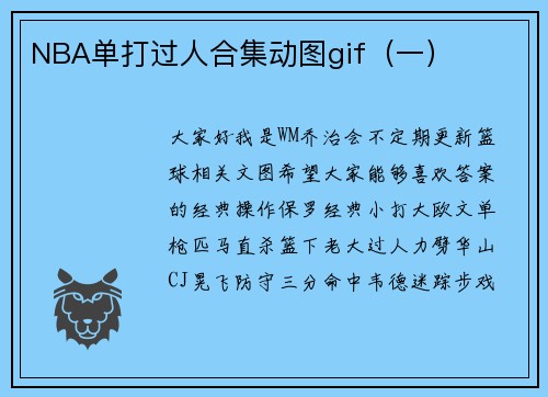 NBA单打过人合集动图gif（一）