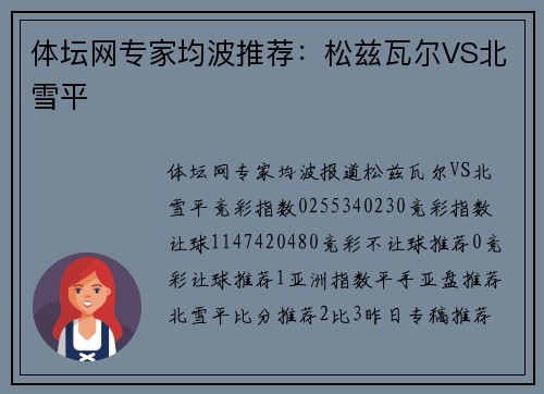 体坛网专家均波推荐：松兹瓦尔VS北雪平